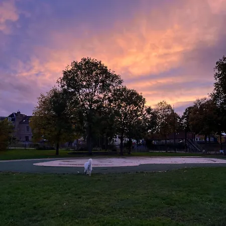 Les Horizons De Jules * Amiens